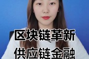 供应链金融区块链服务(供应链区块链应用)