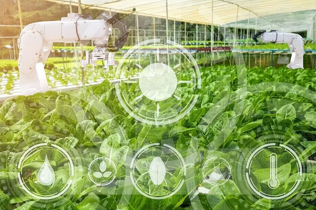 区块链线上养殖平台(区块链养猪是什么意思) 区块链线上养殖平台(区块链养猪是什么意思)