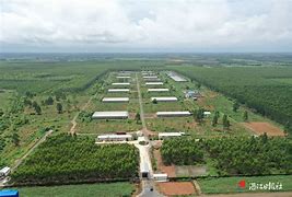 湛江正大区块链(湛江正大集团) 湛江正大区块链(湛江正大集团)