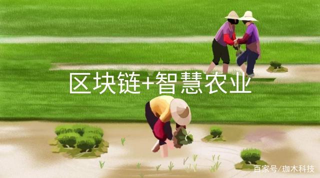 区块链助力核算监测(区块链安全技术检测中心官网) 区块链助力核算监测(区块链安全技术检测中心官网)