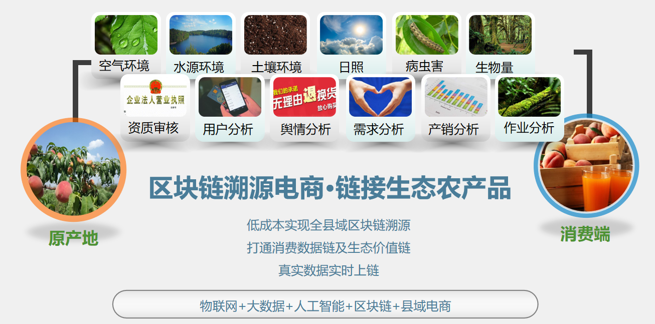 区块链追溯食品ppt(区块链与食品追溯)