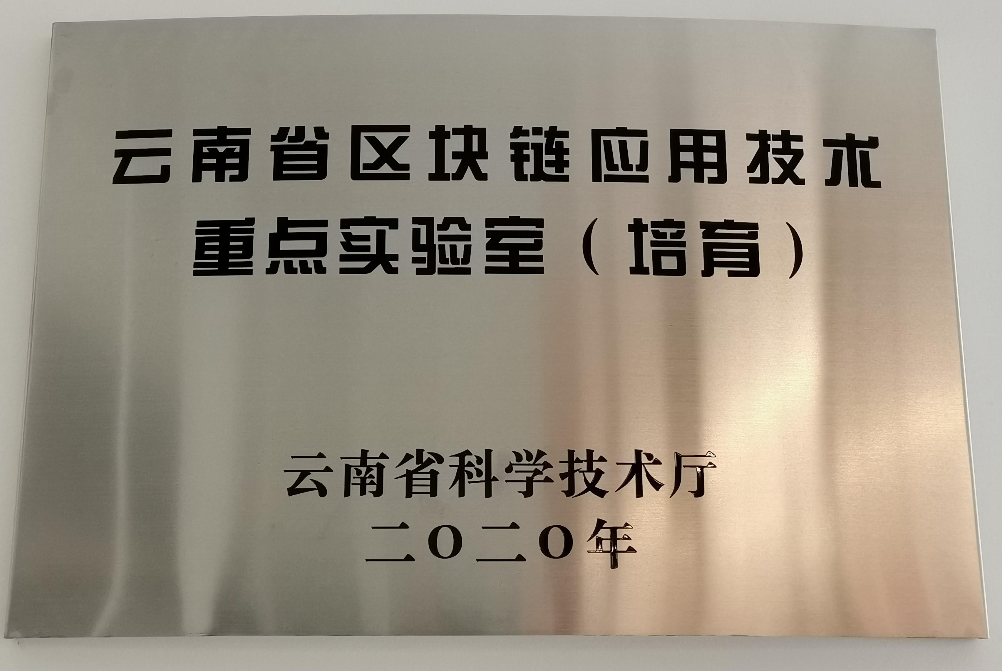 区块链技术中心文化(区块链 文化)