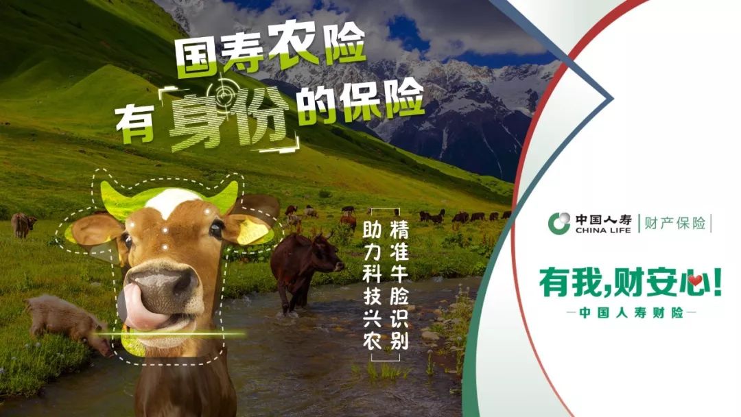 中国区块链农业保险(农业区块链服务第一股) 中国区块链农业保险(农业区块链服务第一股)