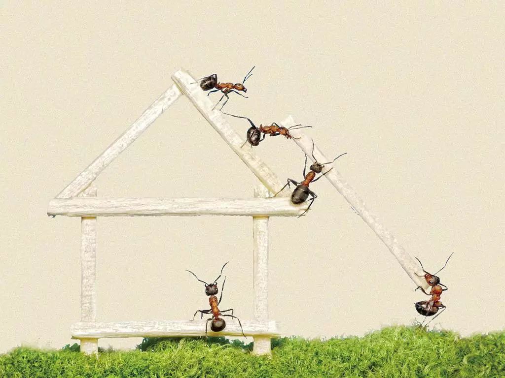 区块链救命视频(区块链100讲) 区块链救命视频(区块链100讲)