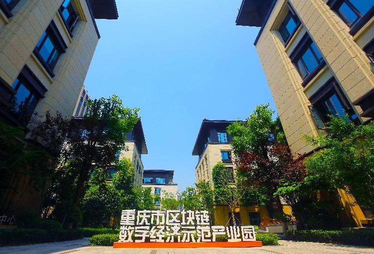 重庆区块链平台定制(重庆区块链平台定制公司)